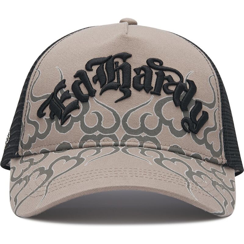 lippikset-kaareva-rekka-harmaa-snapback-flaming-ed-hardy