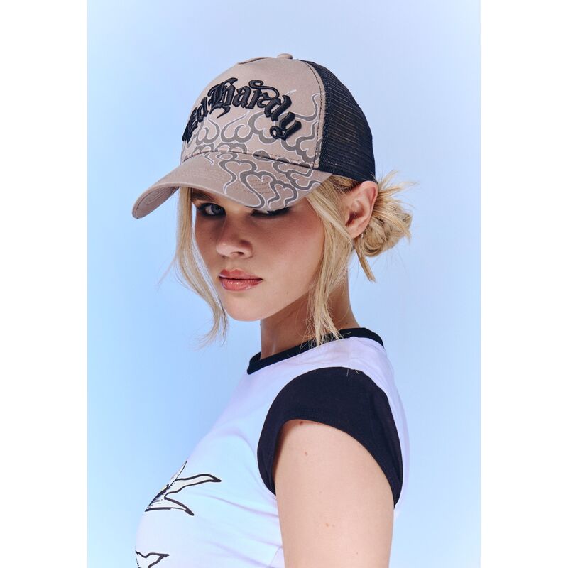 lippikset-kaareva-rekka-harmaa-snapback-flaming-ed-hardy