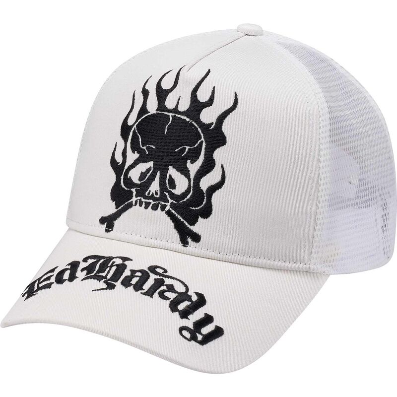 lippikset-kaareva-rekka-valkoinen-snapback-gothic-skull-in-flames-ed-hardy