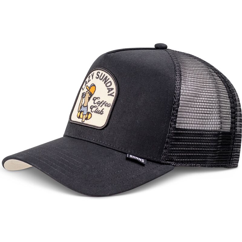lippikset-kaareva-rekka-musta-snapback-hft-skaterboy-djinns
