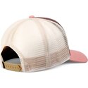 lippikset-kaareva-rekka-ruskea-snapback-rosa-hft-lazy-bird-djinns