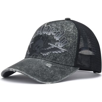 Lippikset kaareva rekka harmaa snapback Flaming Gothic Skull Washed Ed Hardy