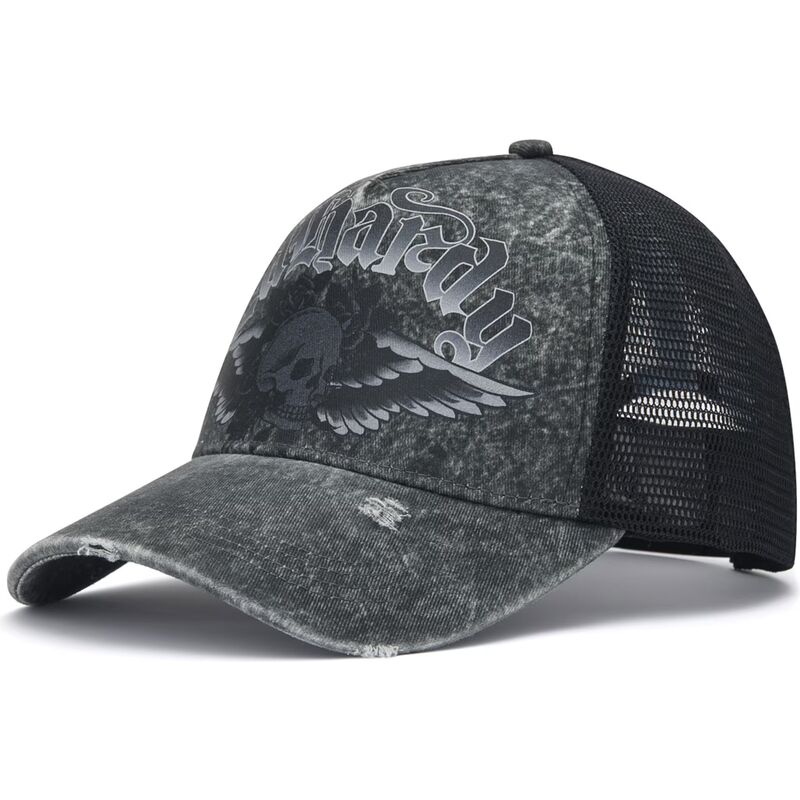 lippikset-kaareva-rekka-harmaa-snapback-flaming-gothic-skull-washed-ed-hardy