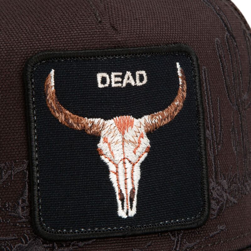 lippikset-kaareva-rekka-ruskea-snapback-skull-badlands-dead-the-farm-goorin-bros