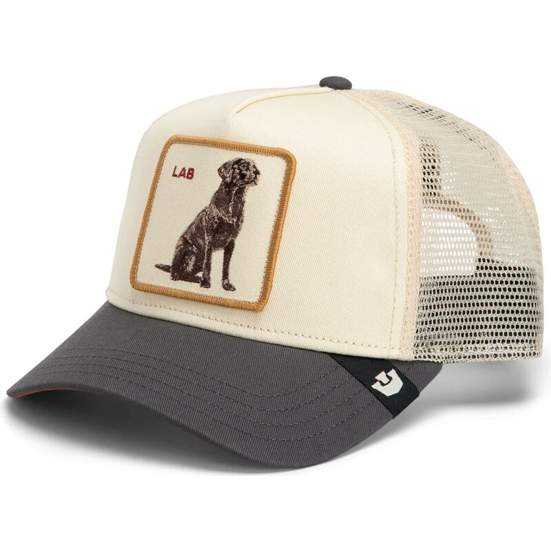 lippikset-kaareva-rekka-kerma-snapback-shadow-lab-off-the-leash-the-farm-goorin-bros
