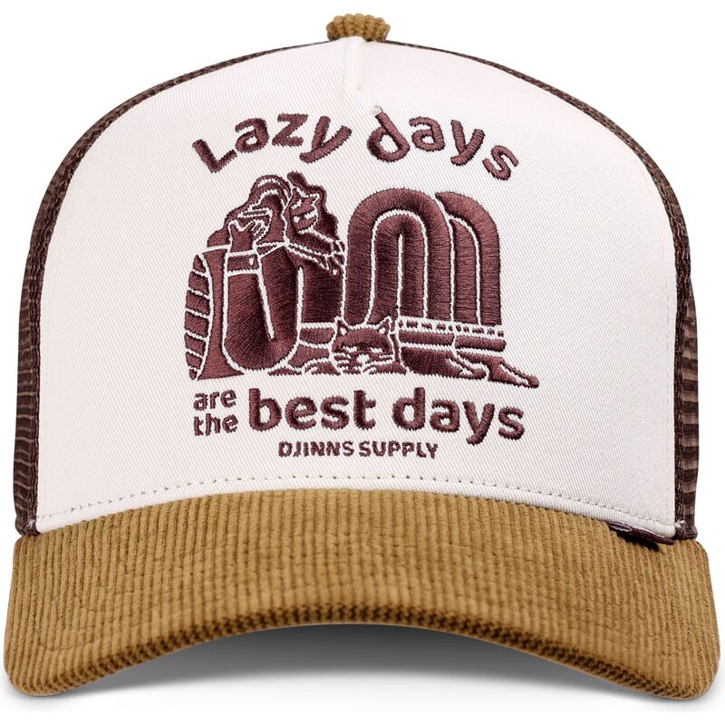 lippikset-kaareva-rekka-ruskea-snapback-hft-lazy-days-djinns