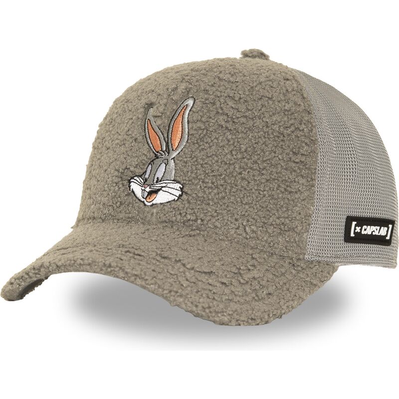 lippikset-kaareva-rekka-harmaa-snapback-loo14-bun-vaiski-vull-looney-tunes-capslab