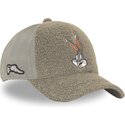 lippikset-kaareva-rekka-harmaa-snapback-loo14-bun-vaiski-vull-looney-tunes-capslab