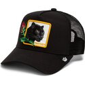 lippikset-kaareva-rekka-musta-snapback-celebrate-a-legend-sidekick-the-farm-goorin-bros