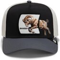 lippikset-kaareva-rekka-monivarinen-snapback-banger-migration-the-farm-goorin-bros
